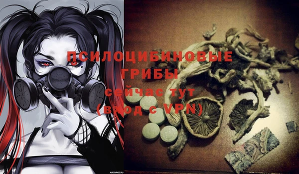 mdpv Верея